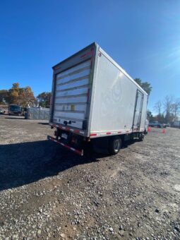
										VOLKSWAGEN DELIVERY 10160, Equipo de frio, Mecanico, 6000 Kgs, 160 HP,IVA+5% COMISION AÑO 2018 full									